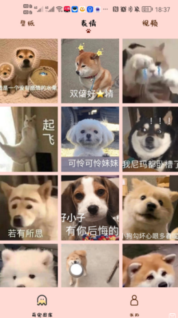 汉克狗图2