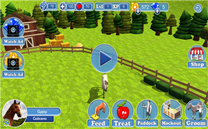 真正的赛马世界HorseJumping3D图3