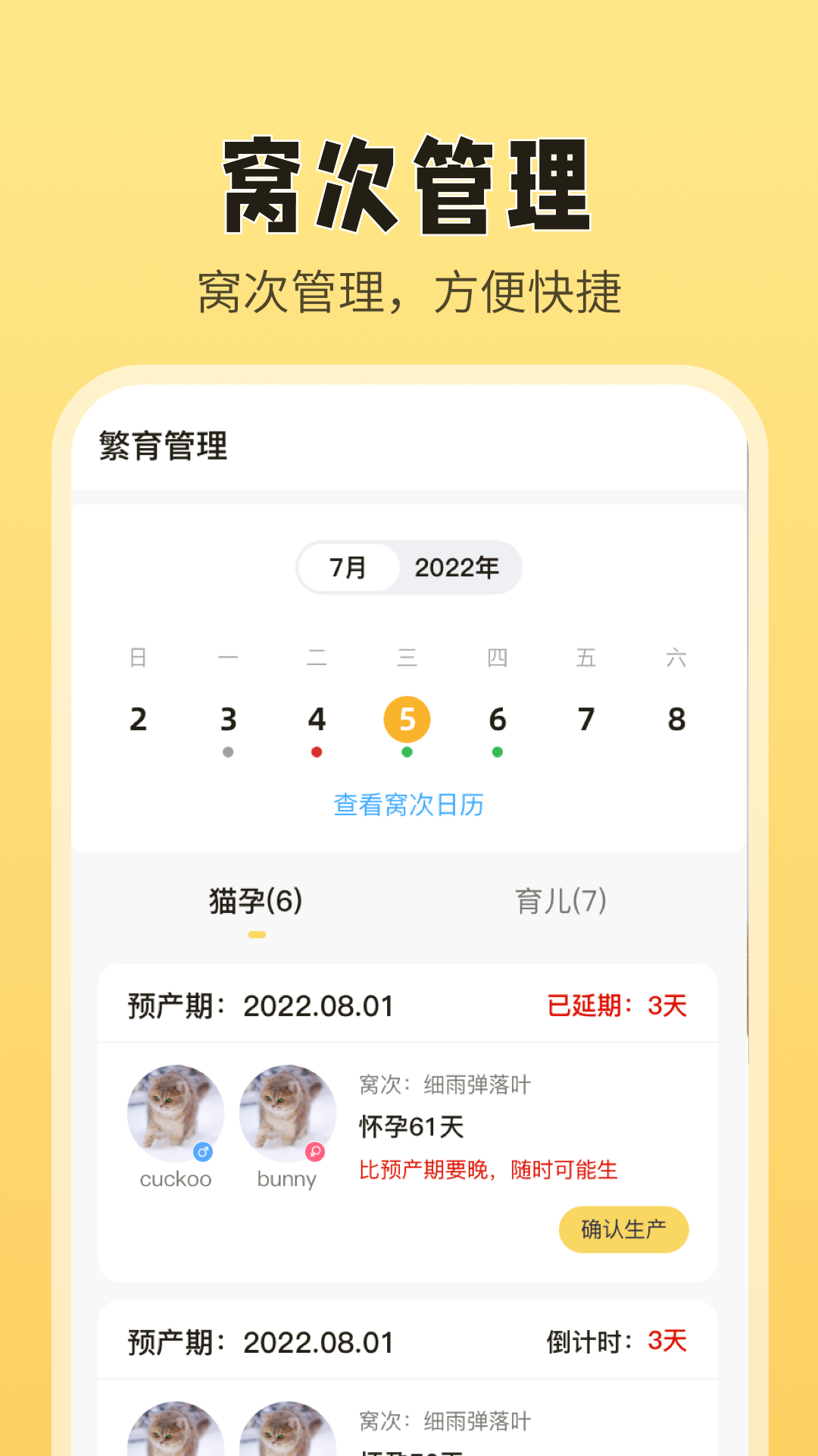 猫老板图1