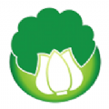 白菜优品图标