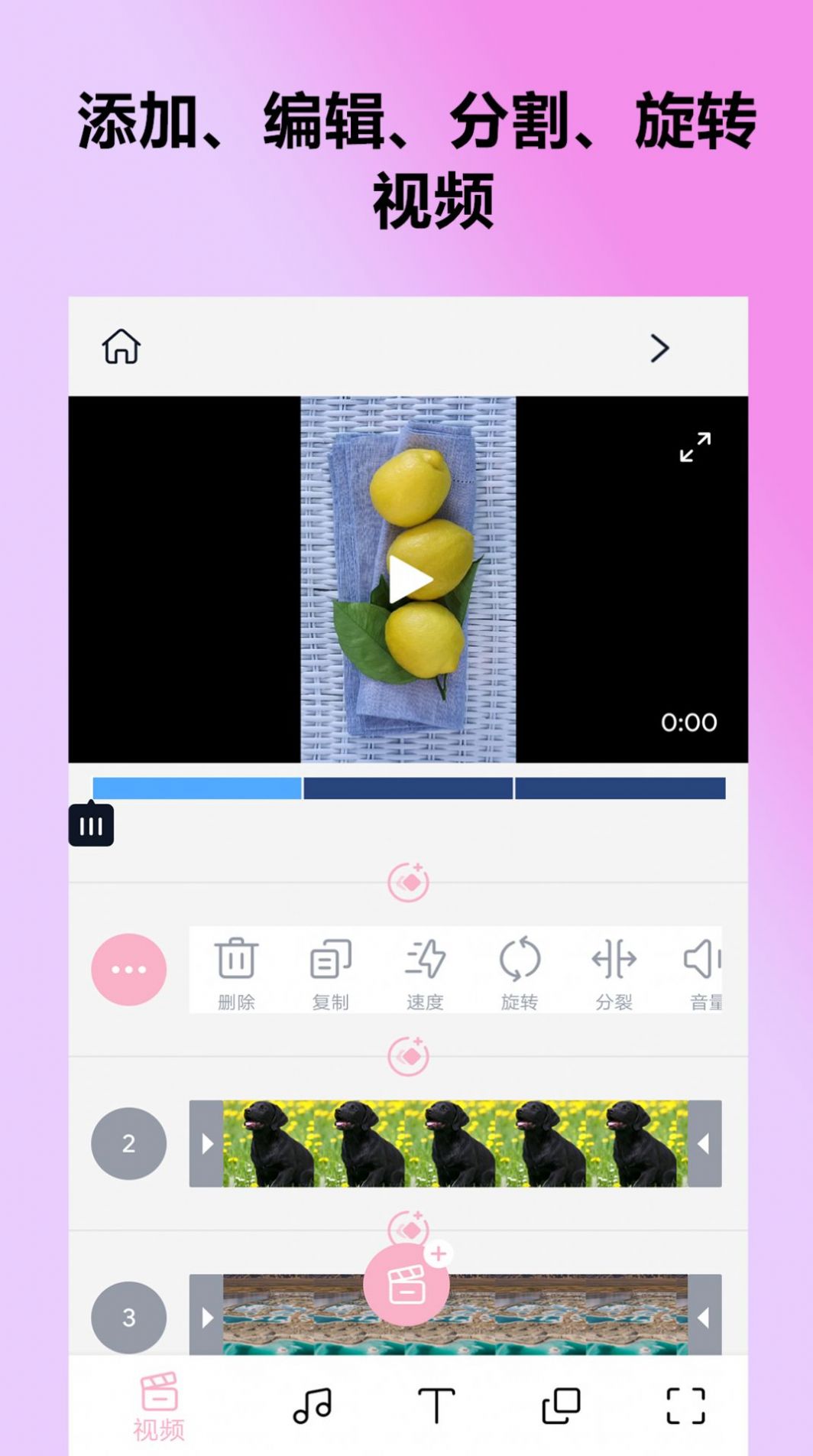 剪拍视频GIF图3