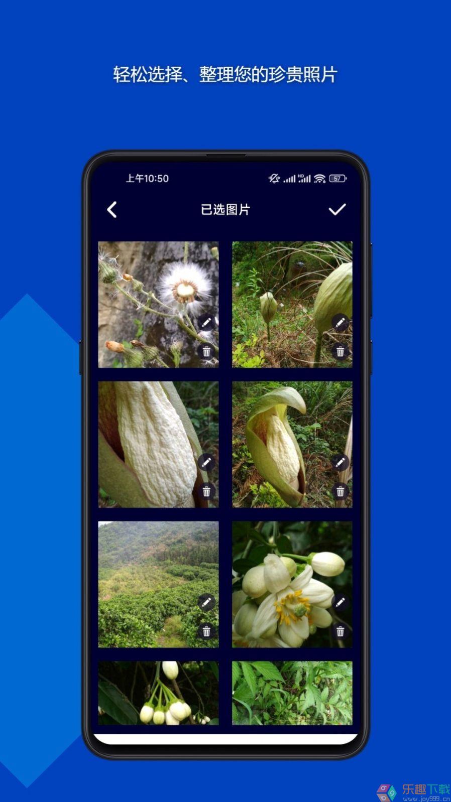 魔法音乐相册图4