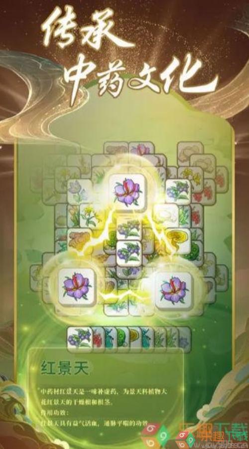 药王传奇图3