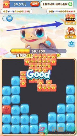 疯狂大海龟图1
