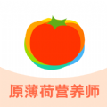 薄荷宝箱图标