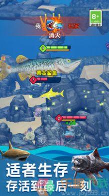 海底生存进化世界1.0.0图2