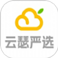 云瑟严选软件
