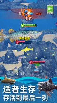 海底生存进化世界1.0.0图3