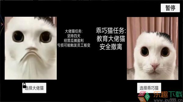 猫猫惊魂夜图3