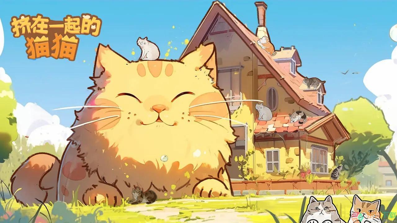 挤在一起的猫猫图3
