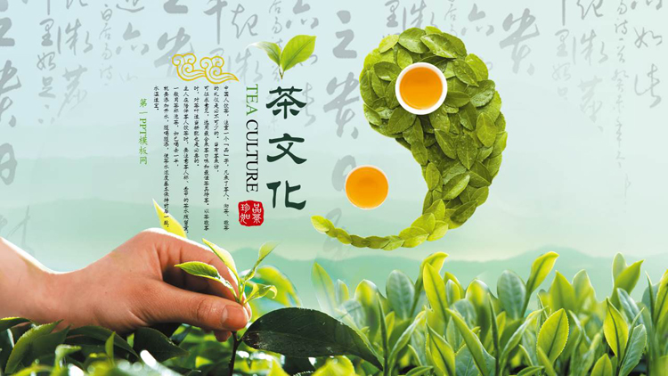 绿色茶树搭配茶叶太极背景茶文化主题PPT模板