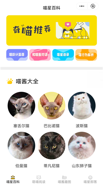 喵星百科图3