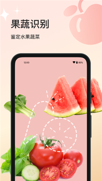 花卉识别大全图2