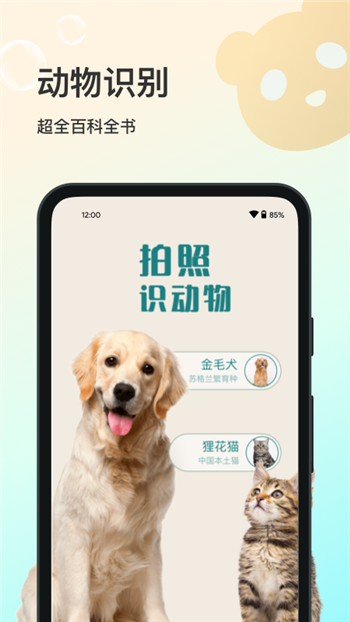 花卉识别大全图1
