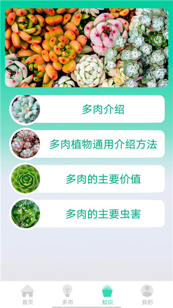 掌中百科app手机版下载