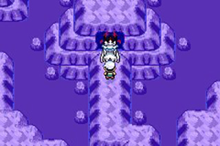 宝可梦究极绿宝石5.5