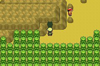 宝可梦究极绿宝石5.5