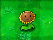 植物大战僵尸贝塔版