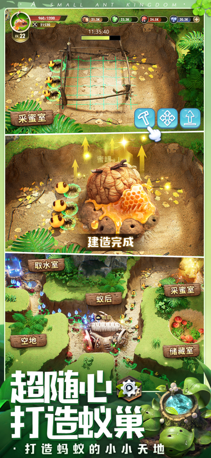 小小蚁国九游版图4