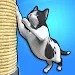 完美爪印PurrfectPaws图标