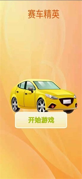 赛车精英截图2