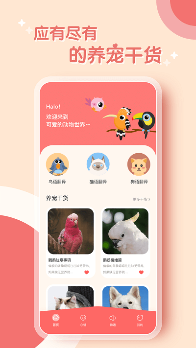 鹦鹉翻译器安卓直装版图1