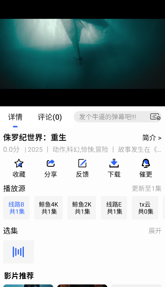 鲸鱼影视