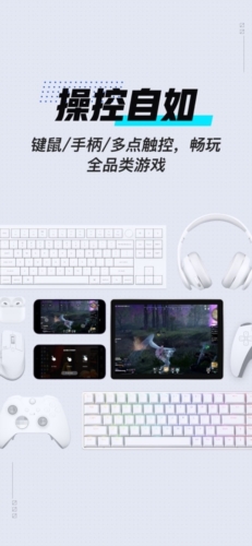 gameviewer远程