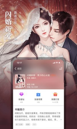 书林言情小说图2