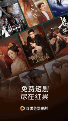 红果视频聚合版图1
