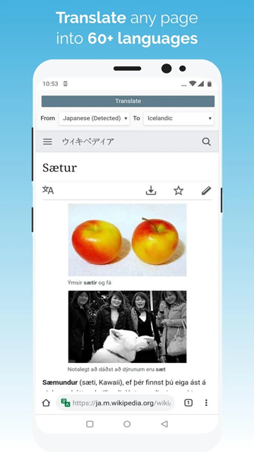 kiwi浏览器app图3