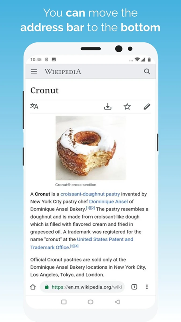 kiwi浏览器app图2