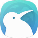 kiwi浏览器app图标