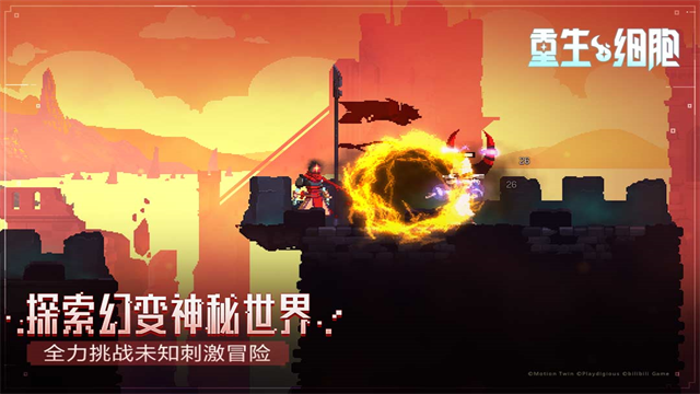 图2