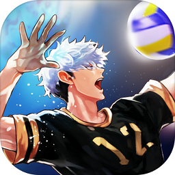 thespike排球高手