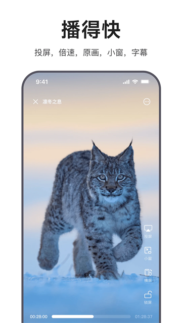 迅雷浏览器手机版图2