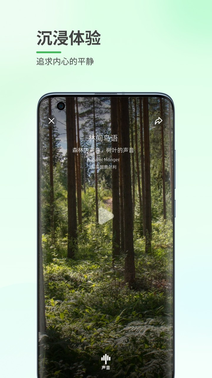 森林白噪音app图1