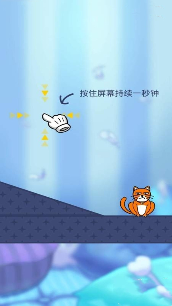 我的猫咪图4