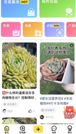 多肉圈第3张截图