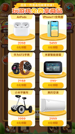 小鸡也疯狂图3