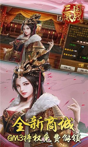 三国激战图3