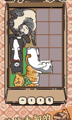 盒子猫游戏图3
