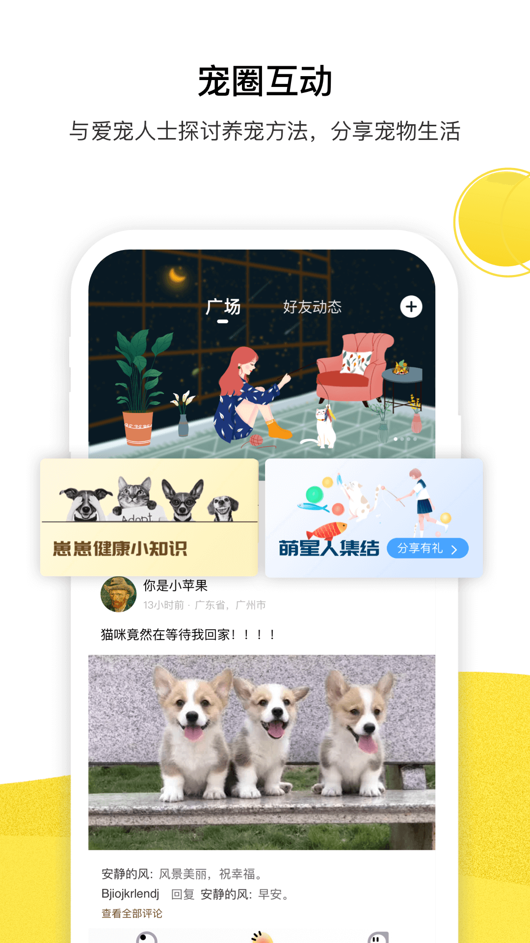 宠陪陪图3