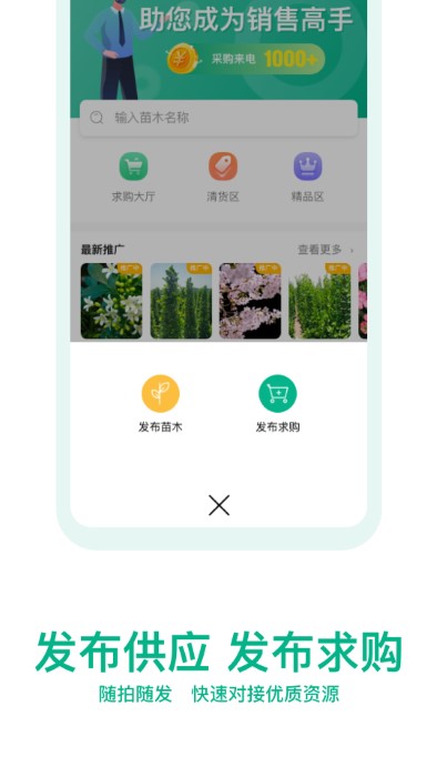 OKOK苗仓图2