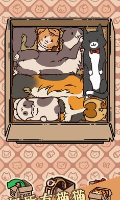 盒子猫游戏图1
