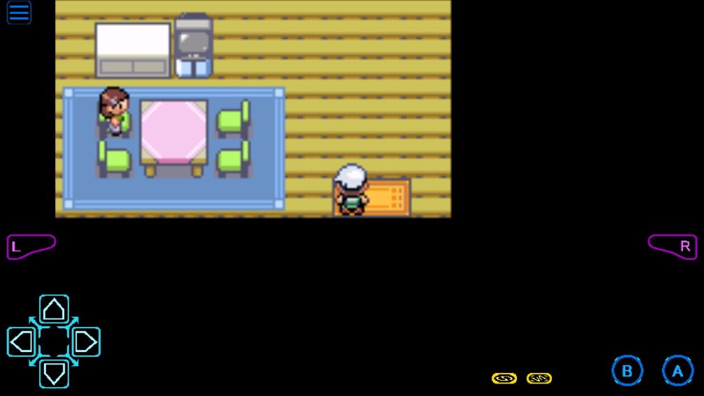 口袋妖怪日月宝石八木特别篇金手指图4