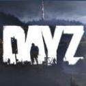 dayz手机中文版