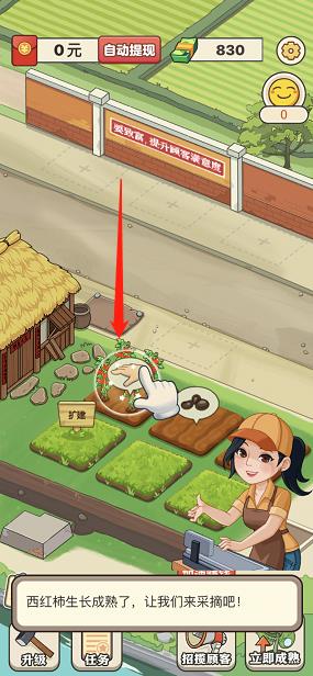有机菜市场游戏手机版