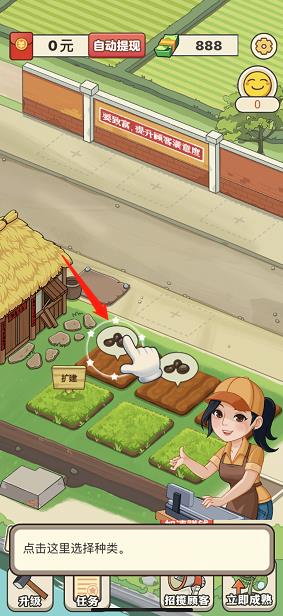 有机菜市场游戏手机版