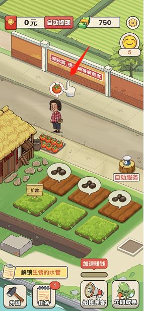 有机菜市场游戏手机版